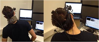 The Role of Different Afferent Systems in the Modulation of the Otolith-Ocular Reflex After Long-Term Space Flights